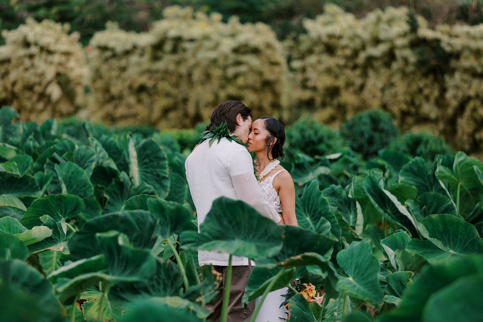 Maui Wedding Photos