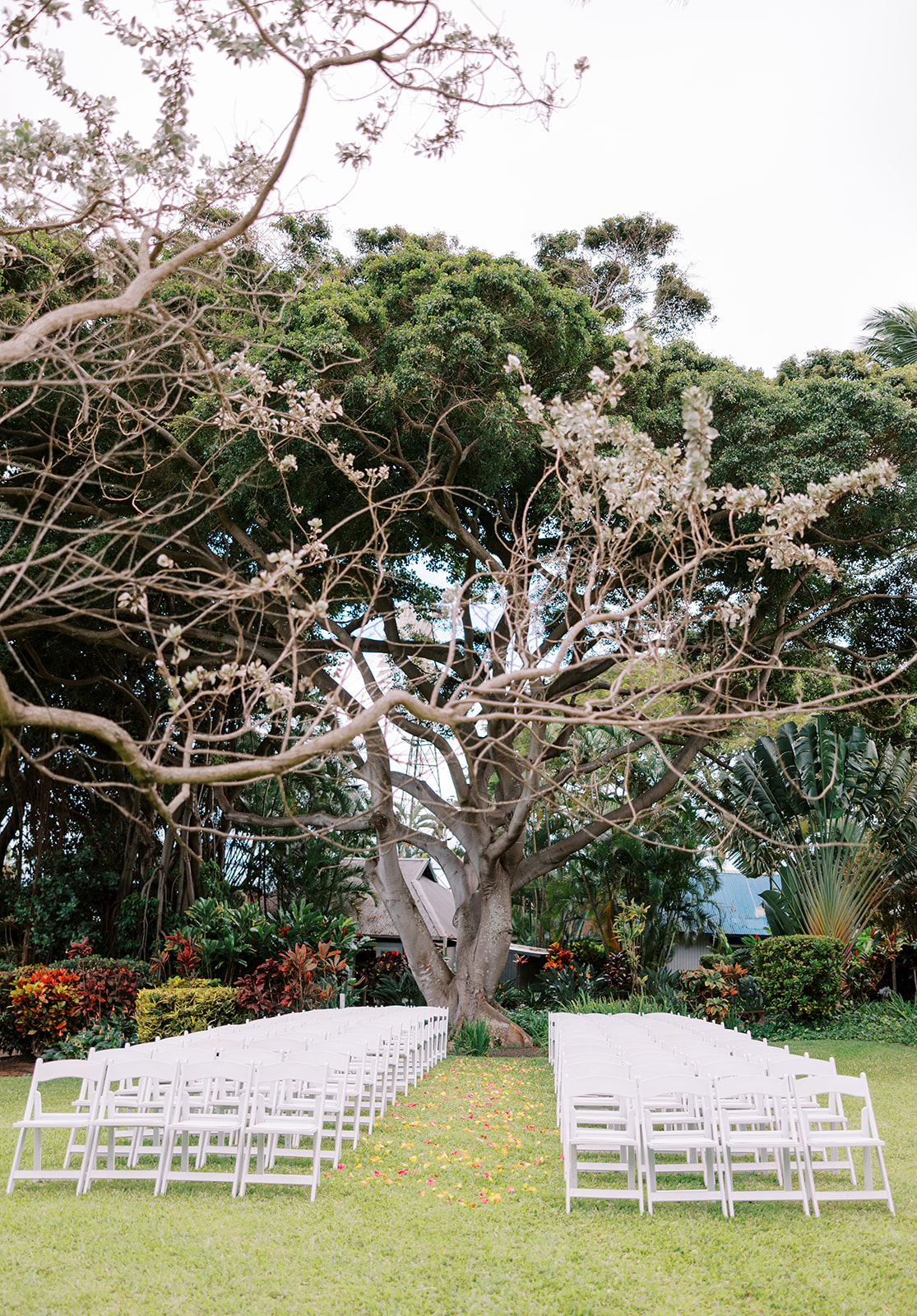 Outdoor Wedding Ceremony at Maui Tropical Plantation