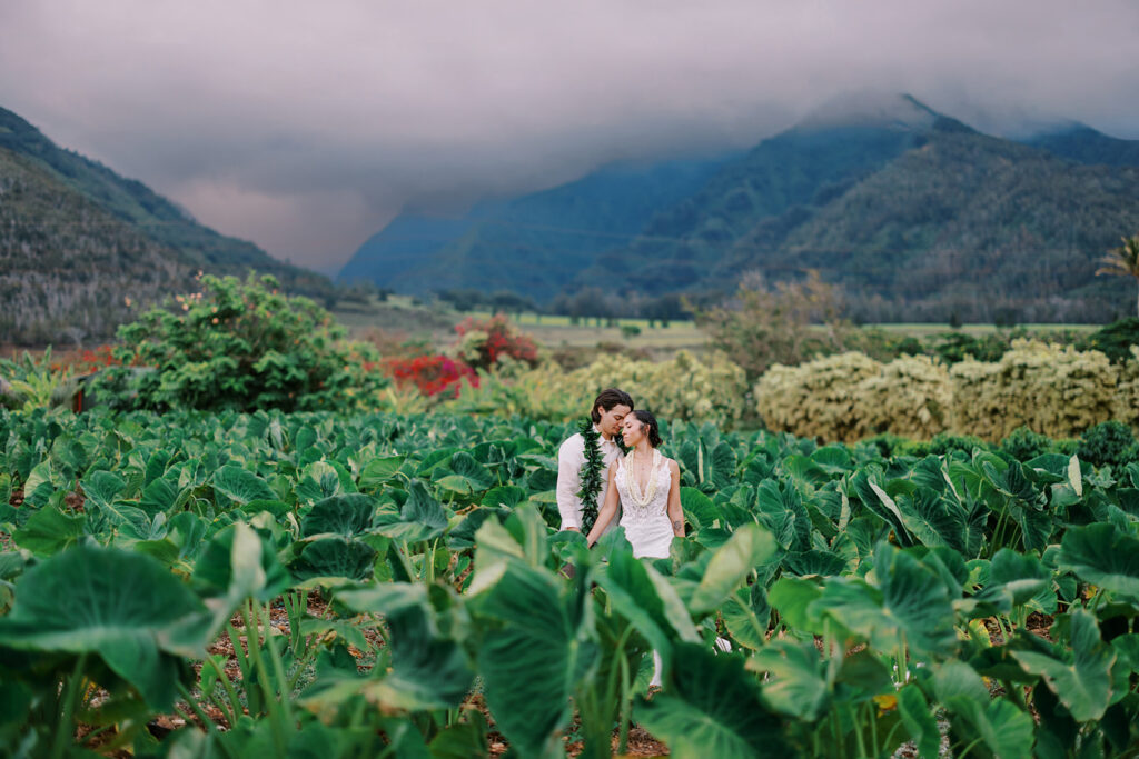 Maui Tropical Plantation Wedding Venue